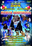 Медведи-канатоходцы