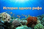 История одного рифа