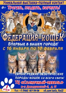 Федерация кошек