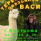 Теремок обезьянки Васи