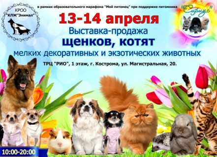 Афиша выставки Выставка-продажа котят и щенков