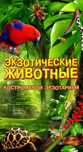 Афиша выставки Костромской экзотариум