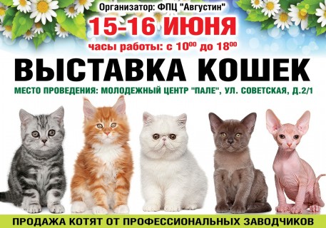 Афиша выставки Выставка кошек