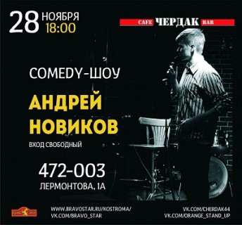 Афиша концерта Андрей Новиков в Чердаке