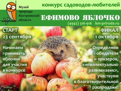 Афиша конкурса Ефимово яблочко