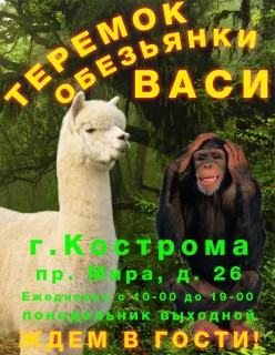 Афиша выставки Теремок обезьянки Васи