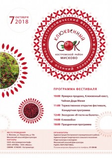 gastronomicheskiy-festival-klyukvennyy